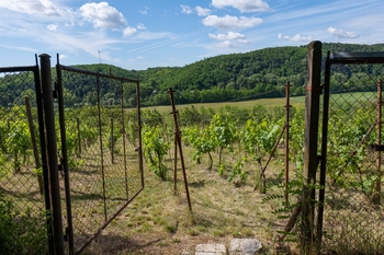 Prodej pozemku 2403 m², Moravské Bránice