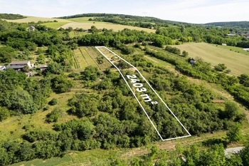 Prodej pozemku 2403 m², Moravské Bránice