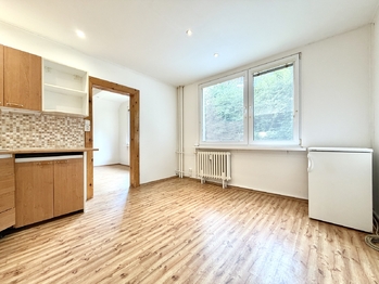 Prodej bytu 2+1 v osobním vlastnictví 61 m², Klášterec nad Ohří