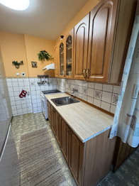 Pronájem bytu 2+1 v osobním vlastnictví 56 m², Brandýs nad Labem-Stará Boleslav