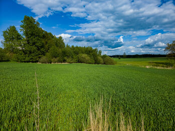 Prodej pozemku 10262 m², Jindřichův Hradec