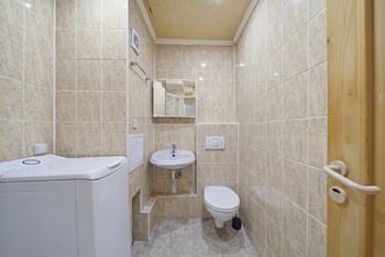 Prodej bytu 1+1 v osobním vlastnictví 36 m², Ostrov