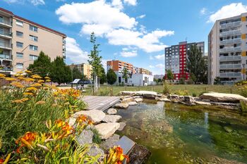 Prodej bytu 2+kk v osobním vlastnictví 43 m², Mladá Boleslav