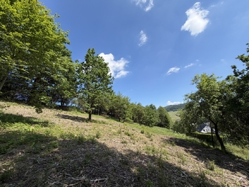 Prodej pozemku 1781 m², Hošťálková