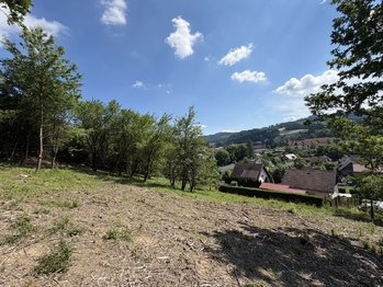 Prodej pozemku 1781 m², Hošťálková