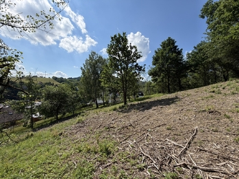 Prodej pozemku 1781 m², Hošťálková