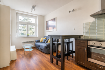 Pronájem bytu 1+1 v osobním vlastnictví 43 m², Praha 6 - Břevnov