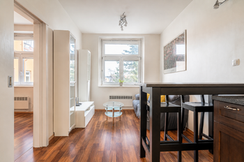 Pronájem bytu 1+1 v osobním vlastnictví 43 m², Praha 6 - Břevnov