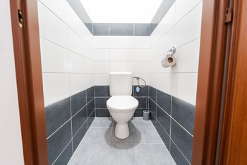 Prodej domu 248 m², Dolní Věstonice
