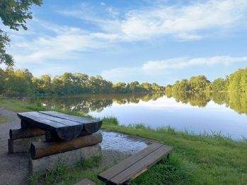 Rybník Mordýřka - Pronájem pozemku 862 m², Libeř