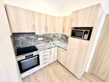 Pronájem bytu 2+kk v osobním vlastnictví 57 m², Praha 2 - Vyšehrad