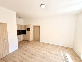 Pronájem bytu 2+kk v osobním vlastnictví 57 m², Praha 2 - Vyšehrad