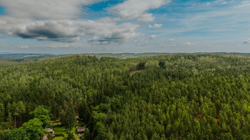 okolní příroda - Prodej chaty / chalupy 39 m², Žihle
