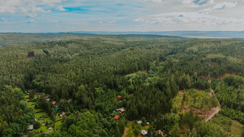 okolní příroda - Prodej chaty / chalupy 39 m², Žihle