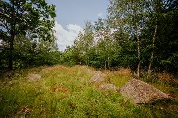 okolní příroda u chatek - Prodej chaty / chalupy 39 m², Žihle