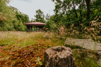 příroda u chatek - Prodej chaty / chalupy 39 m², Žihle