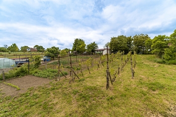 Prodej pozemku 1683 m², Klobouky u Brna