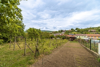 Prodej pozemku 1683 m², Klobouky u Brna