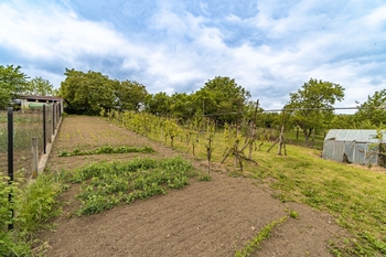 Prodej pozemku 1683 m², Klobouky u Brna