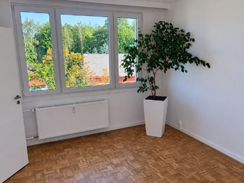 Pronájem bytu 3+1 v družstevním vlastnictví 65 m², Volary