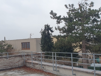 Pronájem bytu 1+kk v osobním vlastnictví 75 m², Pardubice