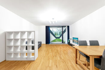 Pronájem bytu 1+kk v osobním vlastnictví 53 m², Praha 3 - Žižkov