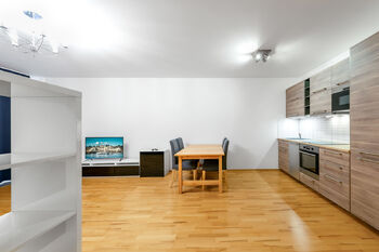 Pronájem bytu 1+kk v osobním vlastnictví 53 m², Praha 3 - Žižkov