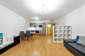 Pronájem bytu 1+kk v osobním vlastnictví 53 m², Praha 3 - Žižkov