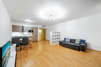 Pronájem bytu 1+kk v osobním vlastnictví 53 m², Praha 3 - Žižkov