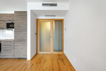 Pronájem bytu 1+kk v osobním vlastnictví 53 m², Praha 3 - Žižkov
