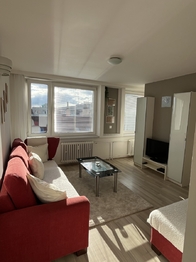 Pronájem bytu 1+kk v osobním vlastnictví 35 m², Praha 8 - Libeň