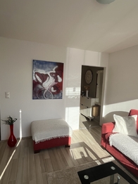 Pronájem bytu 1+kk v osobním vlastnictví 35 m², Praha 8 - Libeň