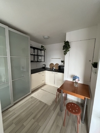 Pronájem bytu 1+kk v osobním vlastnictví 35 m², Praha 8 - Libeň