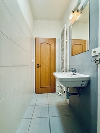 Pronájem bytu 2+kk v osobním vlastnictví 42 m², Plzeň