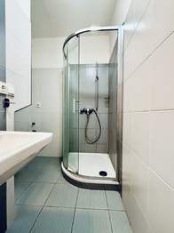 Pronájem bytu 2+kk v osobním vlastnictví 42 m², Plzeň