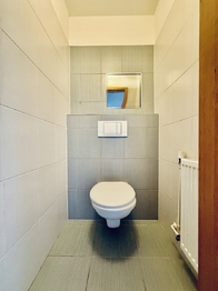 Pronájem bytu 2+kk v osobním vlastnictví 42 m², Plzeň