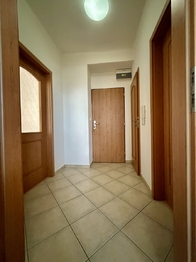 Pronájem bytu 2+kk v osobním vlastnictví 42 m², Plzeň
