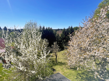 Pohled z okna - Prodej domu 100 m², Nejdek