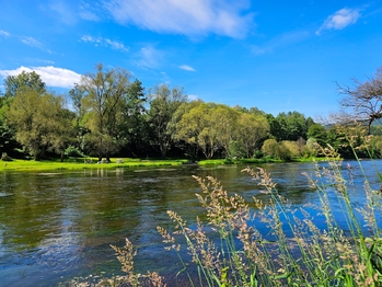Prodej chaty / chalupy 70 m², Stráž nad Ohří