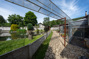 Prodej zemědělského objektu 871 m², Lipová-lázně
