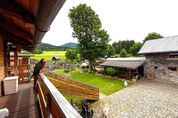 pohled do areálu ZOO - Prodej zemědělského objektu 871 m², Lipová-lázně