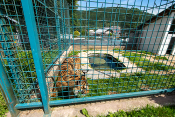 Prodej zemědělského objektu 871 m², Lipová-lázně