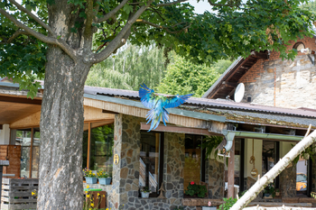 Prodej zemědělského objektu 871 m², Lipová-lázně