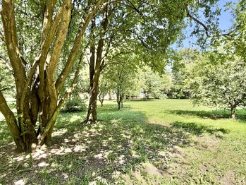 Prodej bytu 3+kk v osobním vlastnictví 56 m², Kladno