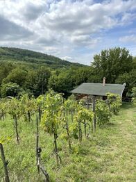 Prodej chaty / chalupy 64 m², Pincehely