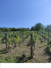 Prodej chaty / chalupy 64 m², Pincehely