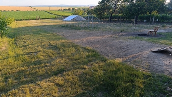 Pronájem pozemku 1092 m², Bořetice