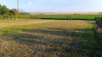 Pronájem pozemku 1092 m², Bořetice