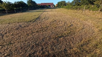 Pronájem pozemku 1092 m², Bořetice