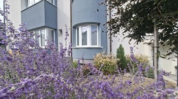 Pronájem bytu 2+1 v osobním vlastnictví 70 m², Prostějov